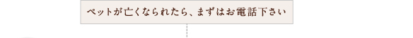 ペットが亡くなられたら、まずはお電話ください。