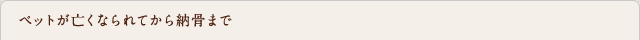 ペットが亡くなられてから納骨まで